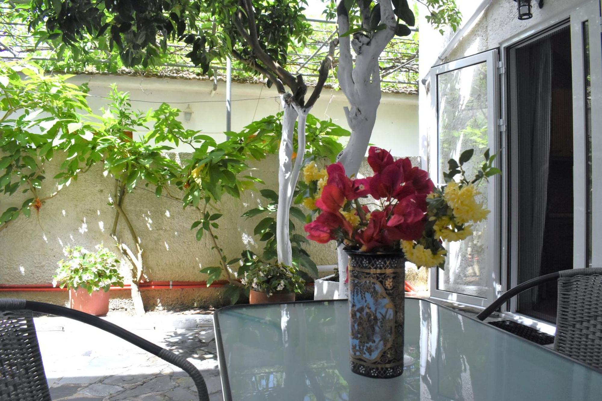 Starvillas Apartments And Studios Agia Efimia Ngoại thất bức ảnh